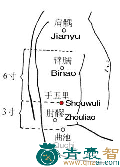 手五里穴的主治功效位置图解-青囊智