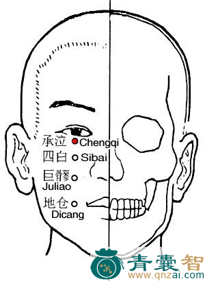 承泣穴的主治功效位置图解-青囊智