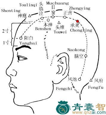 承灵穴的主治功效位置图解-青囊智