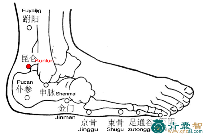 昆仑穴的主治功效位置图解-青囊智