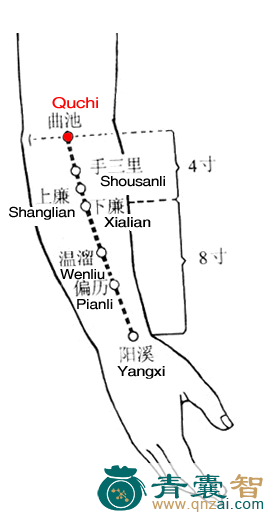 曲池穴的主治功效位置图解-青囊智