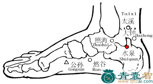 水泉穴的主治功效位置图解-青囊智