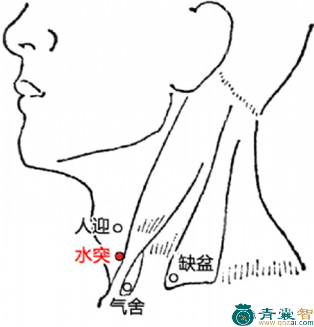 水突穴的主治功效位置图解-青囊智