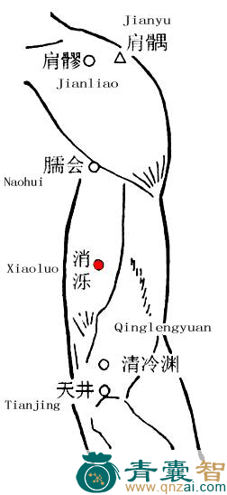 消泺穴的主治功效位置图解-青囊智