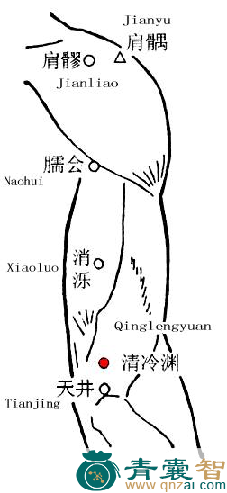 清泠渊穴的主治功效位置图解-青囊智