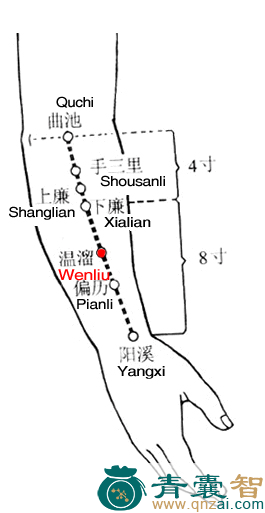 温溜穴的主治功效位置图解-青囊智