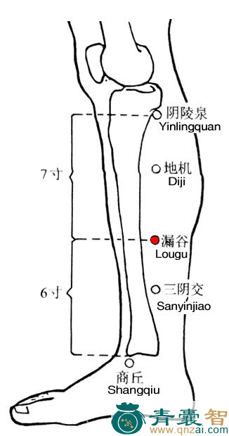 漏谷穴的主治功效位置图解-青囊智