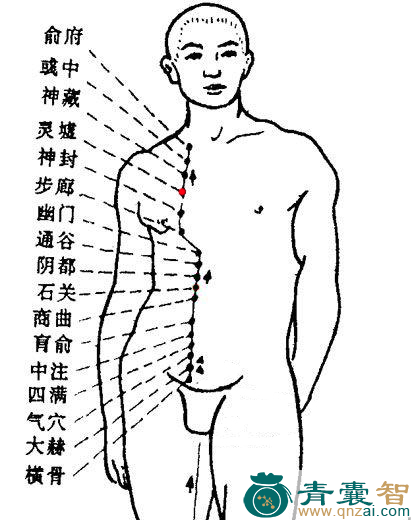 灵墟穴的主治功效位置图解-青囊智