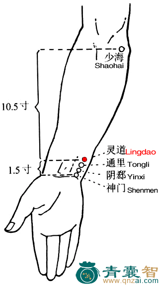 灵道穴的主治功效位置图解-青囊智