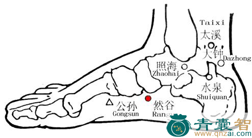 然谷穴的主治功效位置图解-青囊智