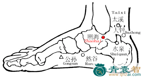 照海穴的主治功效位置图解-青囊智