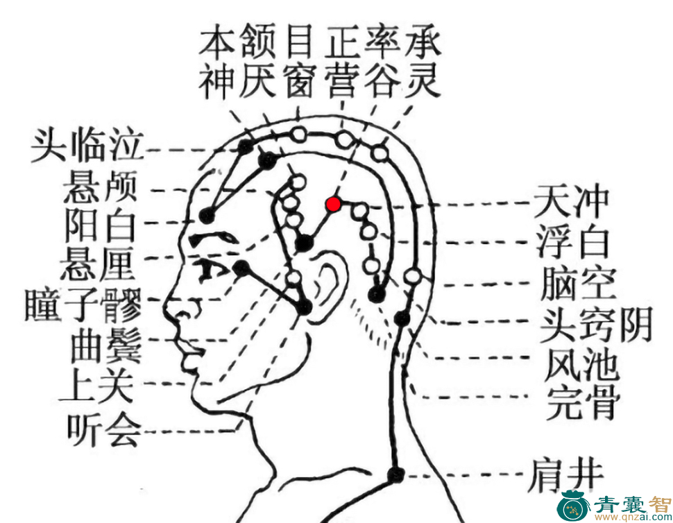 率谷穴的主治功效位置图解-青囊智