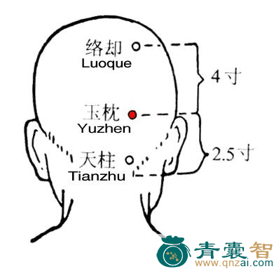 玉枕穴的主治功效位置图解-青囊智