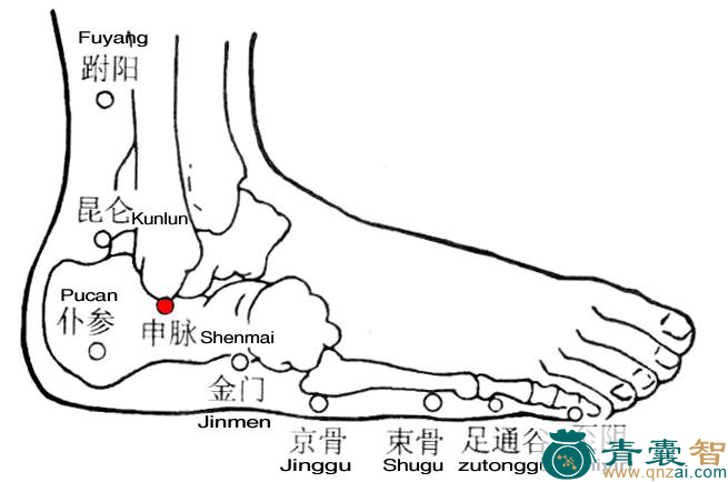 申脉穴的主治功效位置图解-青囊智