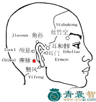 瘈脉穴的主治功效位置图解-青囊智