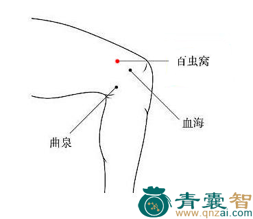 百虫窝穴的主治功效位置图解-青囊智