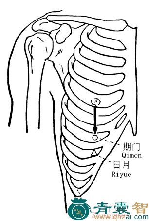 章门穴的主治功效位置图解-青囊智