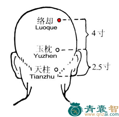 络却穴的主治功效位置图解-青囊智