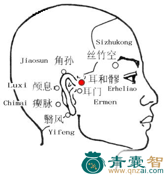 耳和髎穴的主治功效位置图解-青囊智