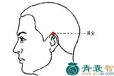 耳尖穴的主治功效位置图解-青囊智