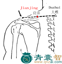 肩井穴的主治功效位置图解-青囊智