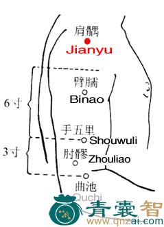 肩髃穴的主治功效位置图解-青囊智