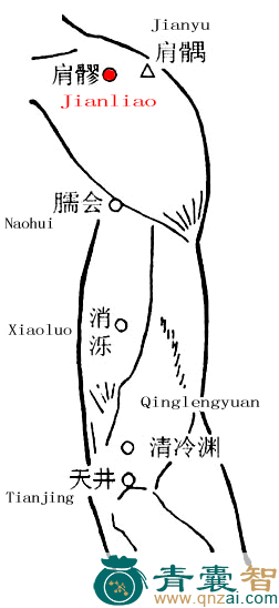 肩髎穴的主治功效位置图解-青囊智