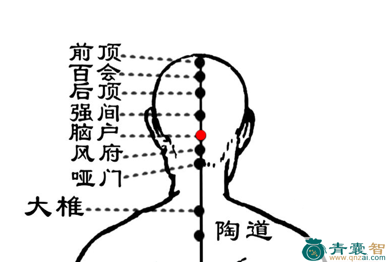 脑户穴的主治功效位置图解-青囊智