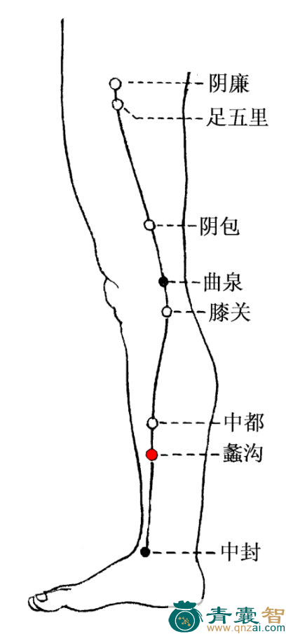 蠡沟穴的主治功效位置图解-青囊智