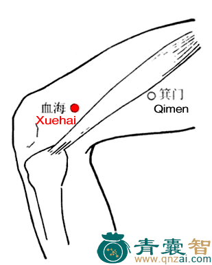 血海穴的主治功效位置图解-青囊智