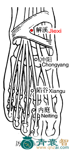 解溪穴的主治功效位置图解-青囊智