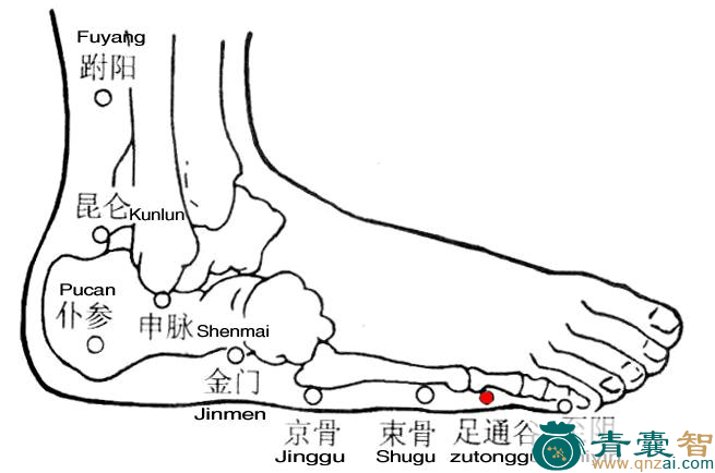 足通谷穴的主治功效位置图解-青囊智