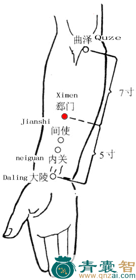 郄门穴的主治功效位置图解-青囊智