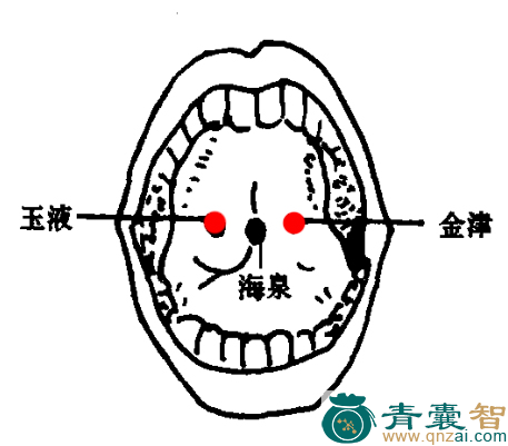 金津玉液穴的主治功效位置图解-青囊智