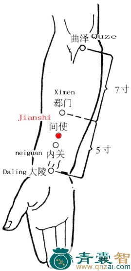 间使穴的主治功效位置图解-青囊智