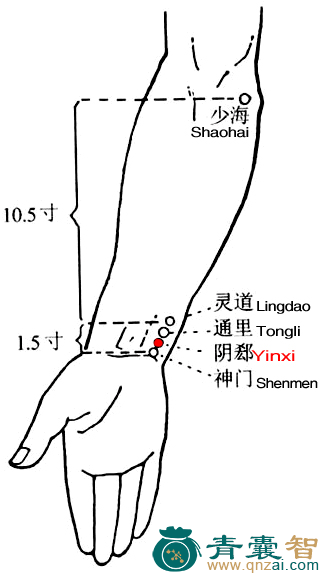 阴郄穴的主治功效位置图解-青囊智