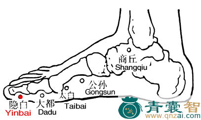 隐白穴的主治功效位置图解-青囊智