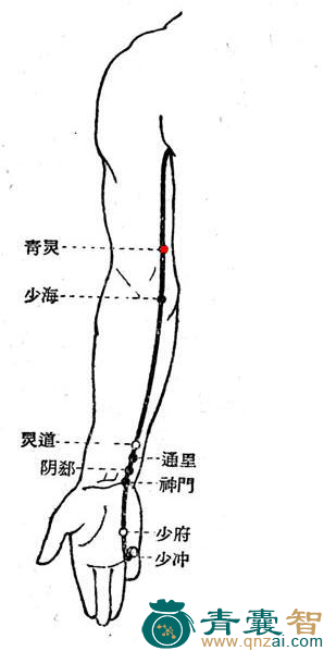 青灵穴的主治功效位置图解-青囊智