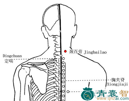 颈百劳穴的主治功效位置图解-青囊智