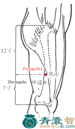 风市穴的主治功效位置图解-青囊智