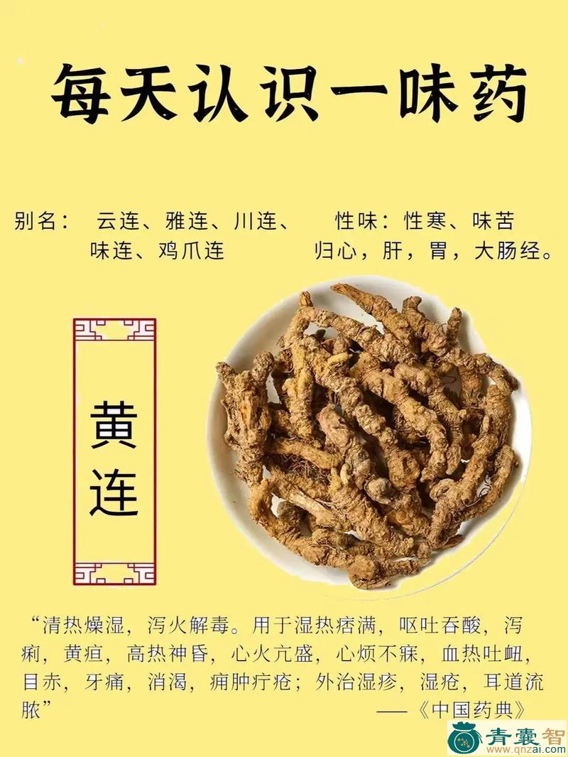 一味药的性状性味归经以及功效用法-青囊智