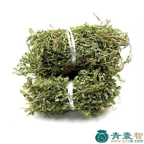 三叶珍珠草的性状性味归经以及功效用法-青囊智