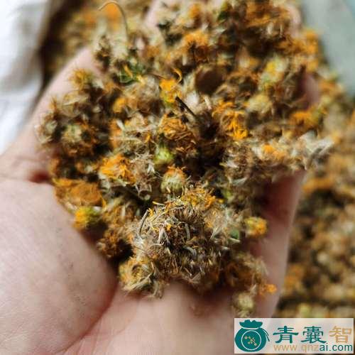 中国旋花的性状性味归经以及功效用法-青囊智