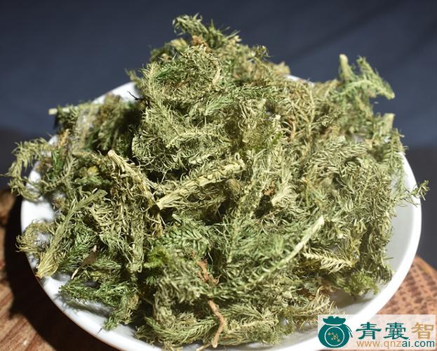 伸筋草的性状性味归经以及功效用法和注意事项-青囊智