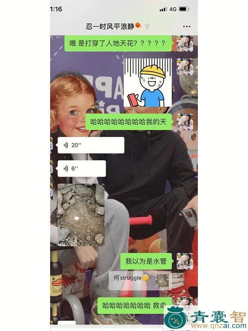 何发来的以及功效用法和注意事项-青囊智