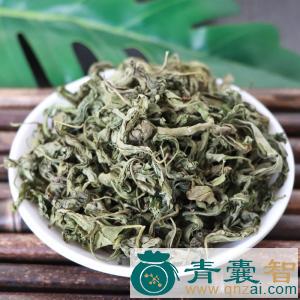 刺茶的性味归经以及功效用法-青囊智