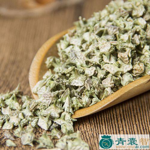 同州白蒺藜的性状性味归经以及功效用法和注意事项-青囊智