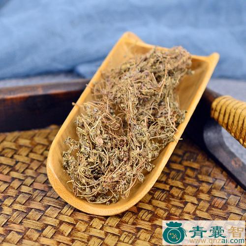 地精草的性味归经以及功效用法-青囊智