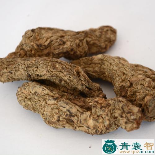 地黄木的性状性味归经以及功效用法-青囊智