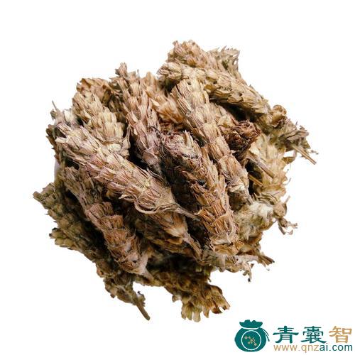 夏闭草的性状性味归经以及功效用法-青囊智